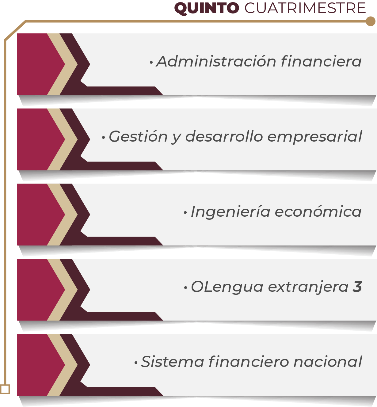 MAPA CURRICULAR GESTIÓN